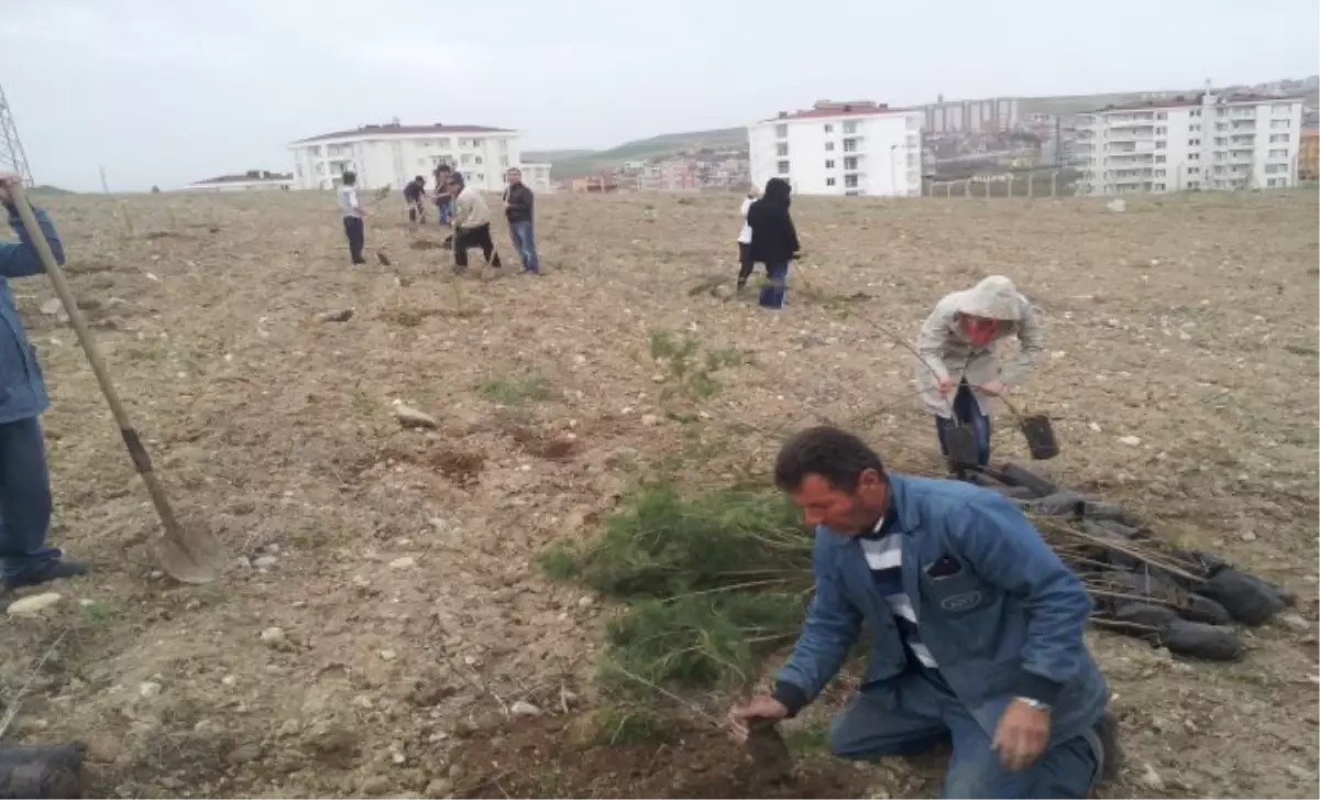 Hüda Par Seçim Çalışmalarını Yoğunlaştırdı