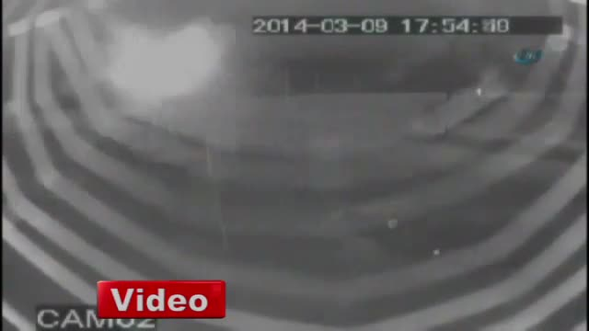 Örümceğin Usta İşçiliği Kamerada