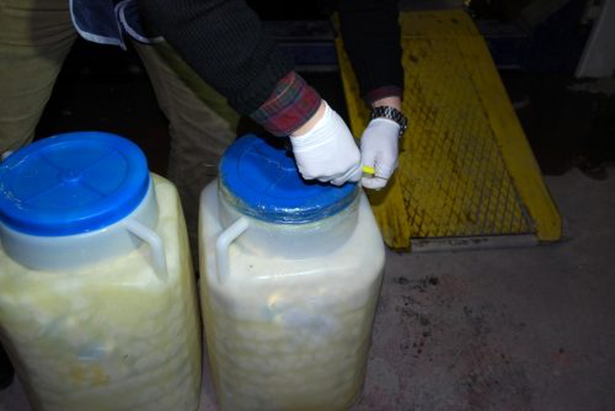 Otobüsteki Peynir Bidonlarından 16 Kilo Esrar Çıktı