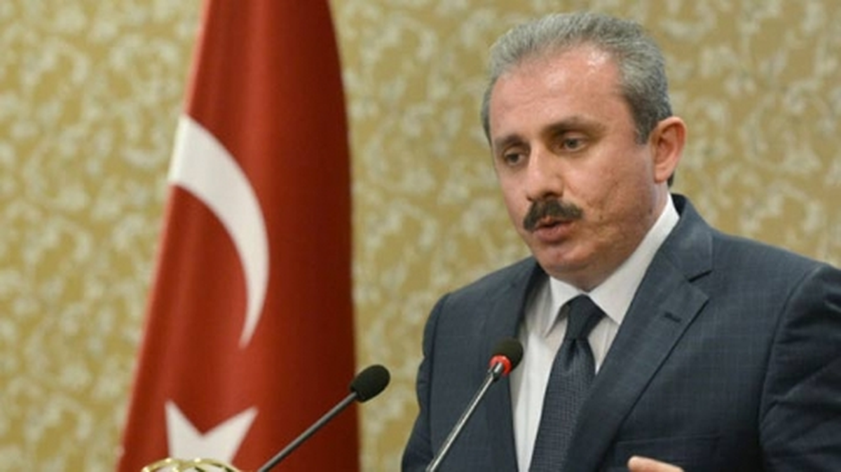 AK Parti Genel Başkan Yardımcısı Şentop -