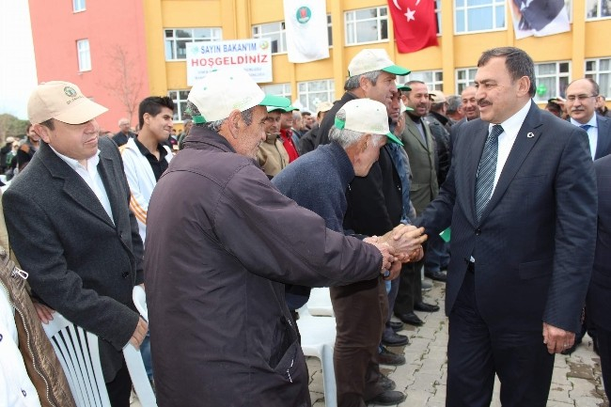 Bakan Eroğlu Manisa\'da Fidan Dikim Törenine Katıldı
