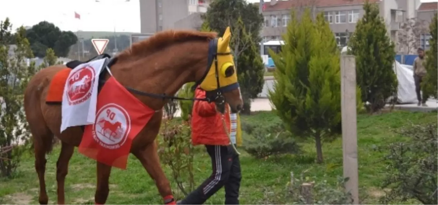 DP\'nin Seçim Bürosu Açılışına At Getiren Belediye Başkan Adayı: "Kırat Sinirden Kızardı"