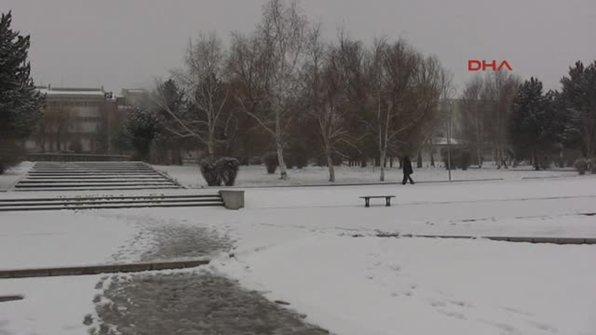 Erzurum ve Muş\'ta Kar Yağdı