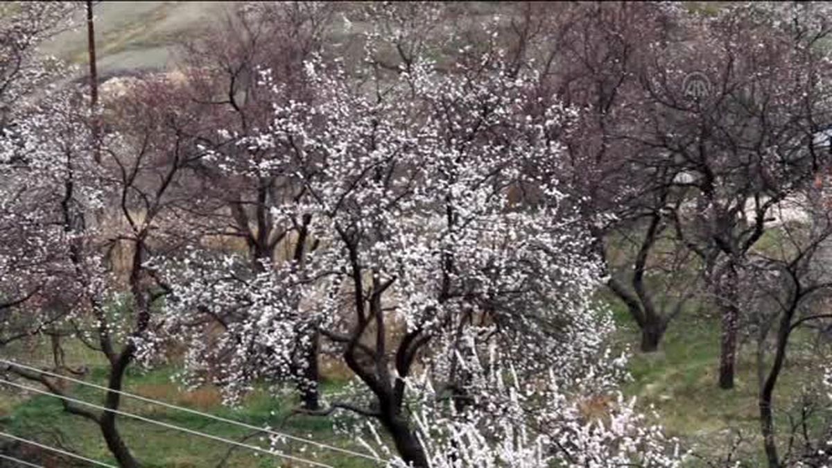 Malatya\'da İki Mevsim Bir Arada