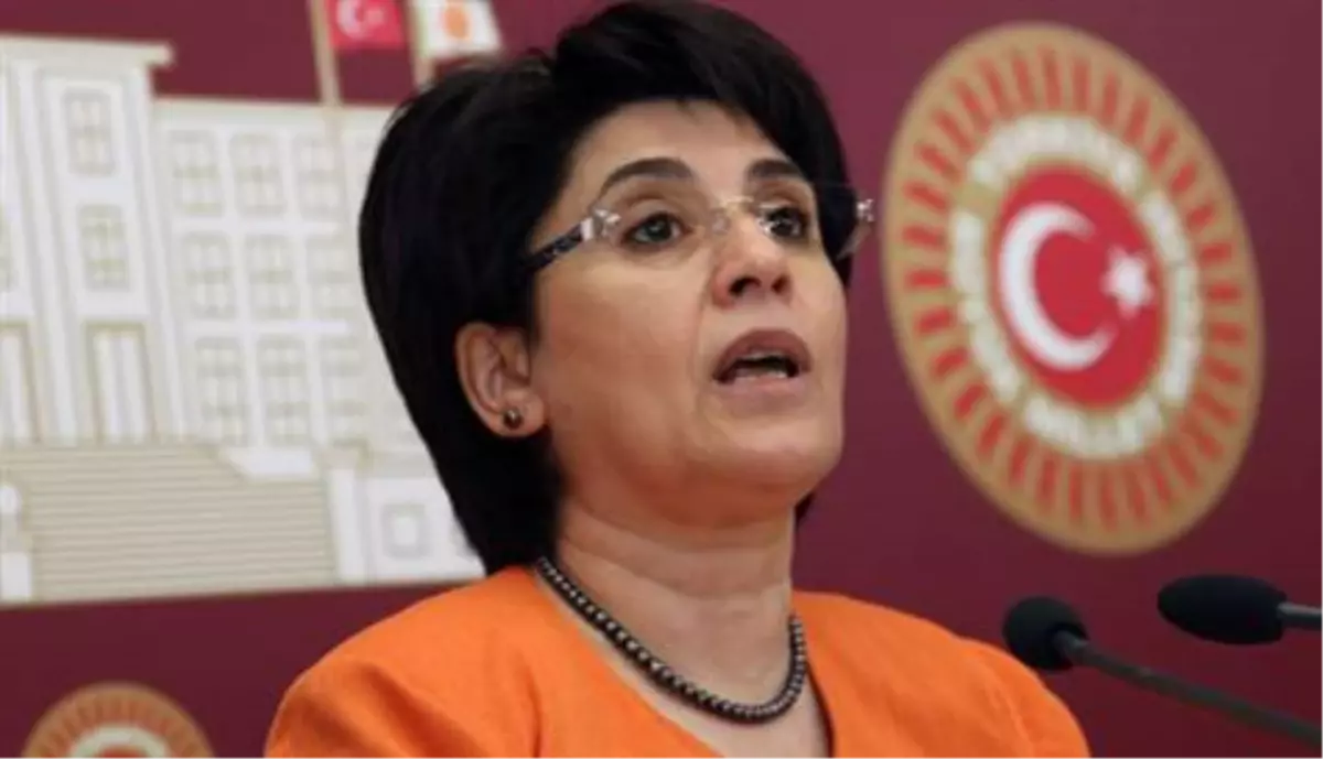 Leyla Zana: Berkin\'in Failleri Bulunmalı