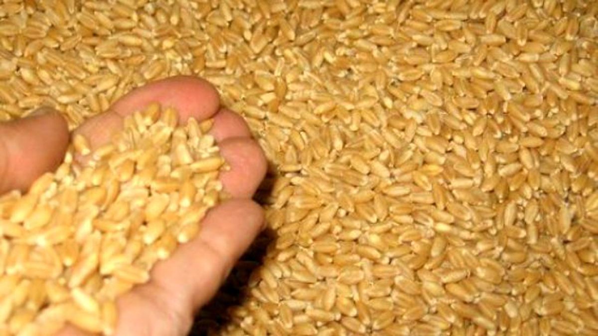 Uşak Ticaret Borsası