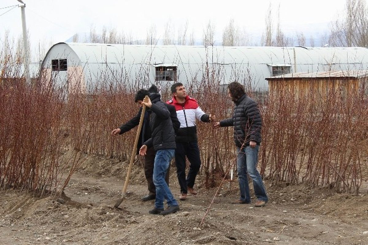 Erzincan\'da Fidan Satışları Başladı