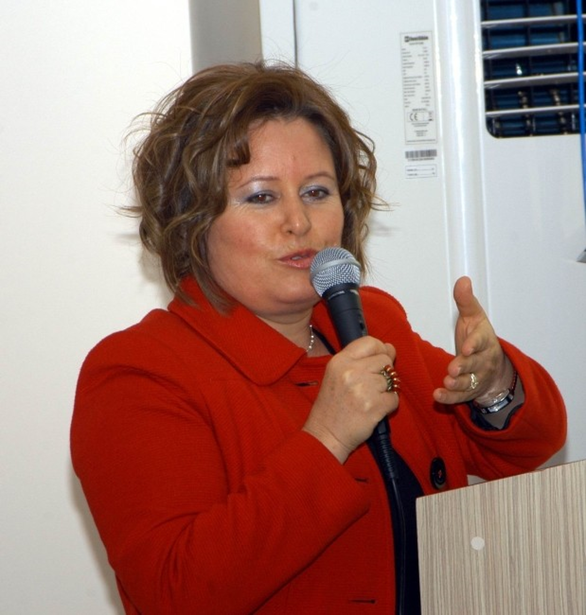 Gürkan: "Haydi Adanalım, Büyük Ustayı Bağrımıza Basalım"