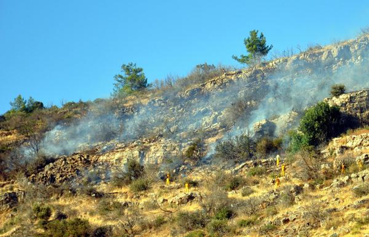 Muğla\'da Makilik ve Ormanlık Alanda Yangın (2)
