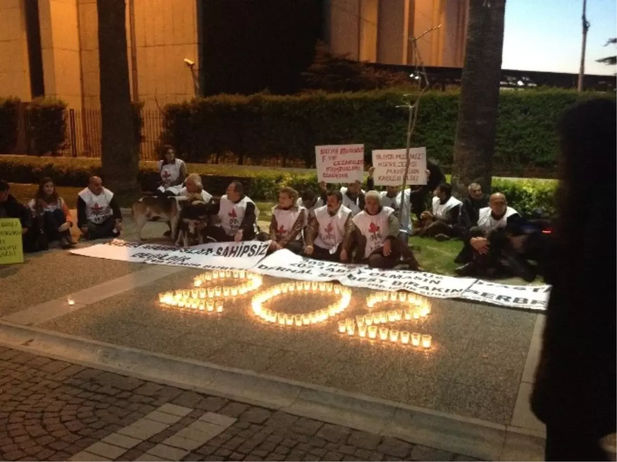 İHD\'den Hasta Hükümlüler İçin Mumlu Eylem