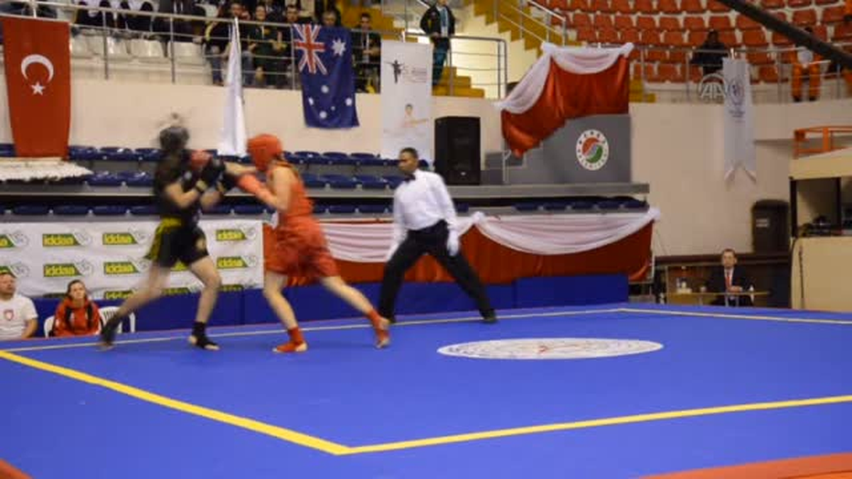 5. Dünya Gençler Wushu Şampiyonası -
