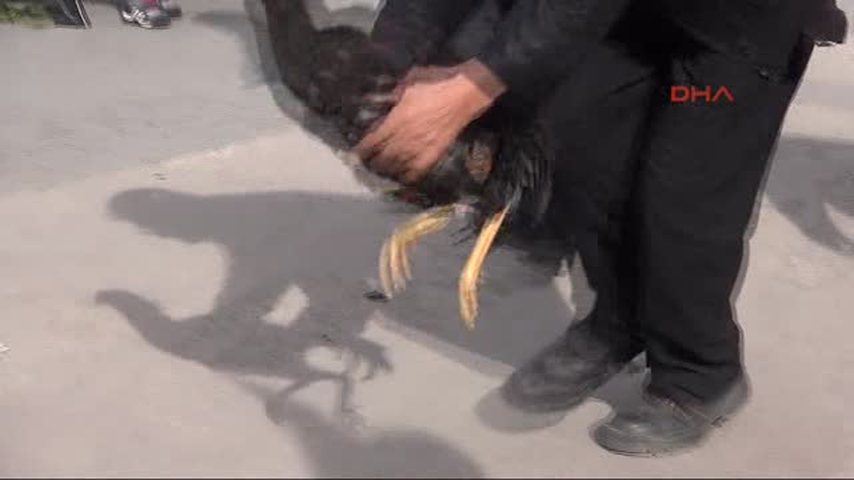 Ankara\'da Hayvan Hakları Koruma Kanun Tasarısı Eylemi