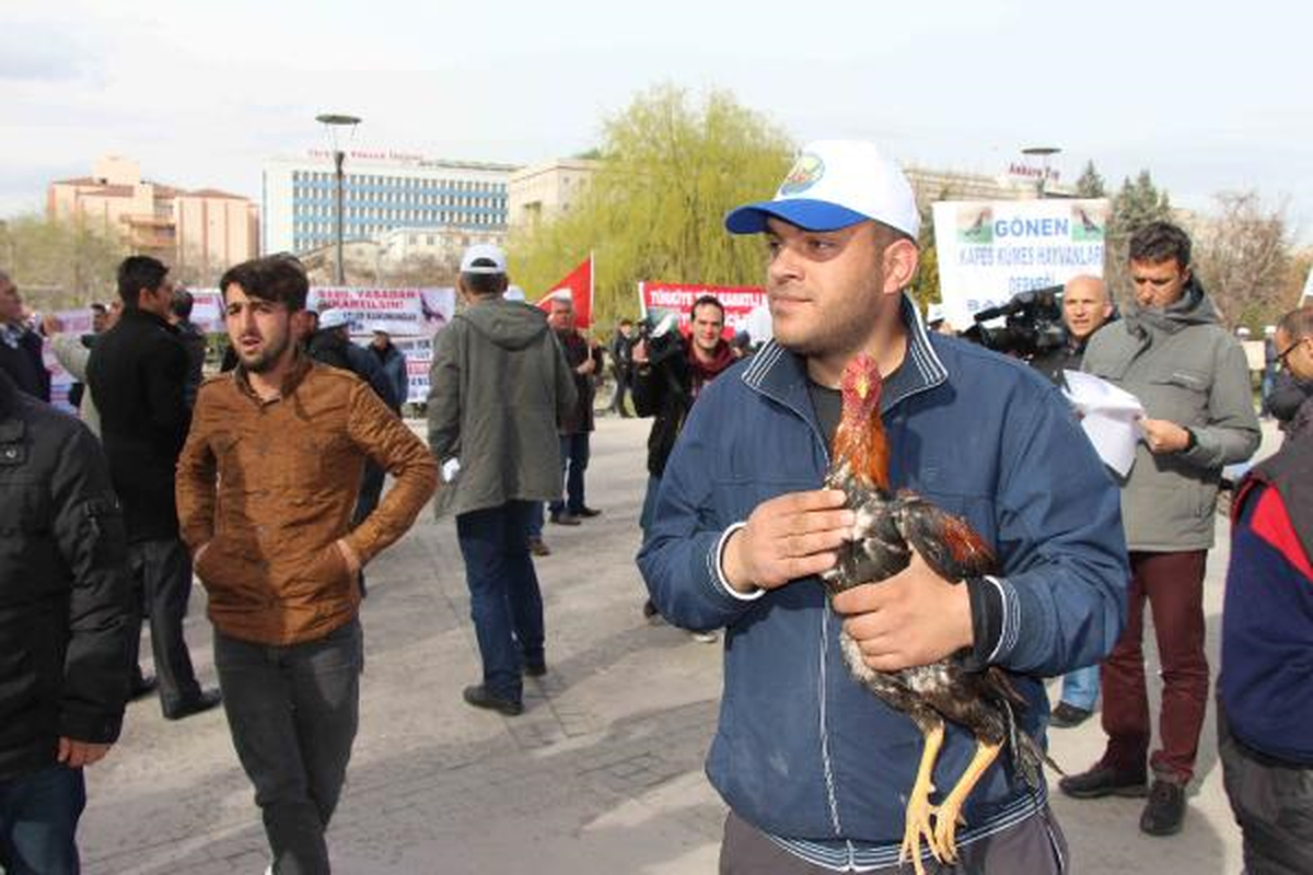 Ankara\'da Hayvan Hakları Koruma Kanun Tasarısı Eylemi