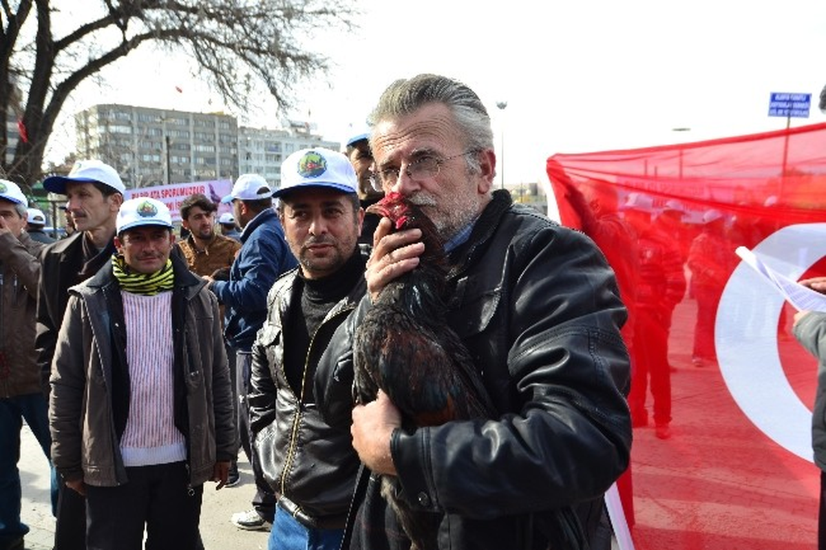 Başkent\'te Horoz Hakları Eylemi