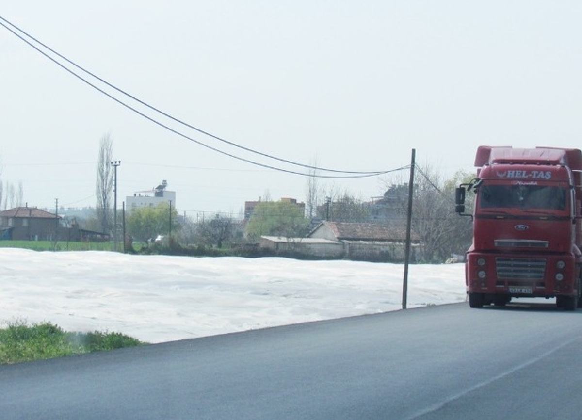 Ödemiş\'te Ekimi Azalan Patates İçin Tarlalar Beyaza Büründü
