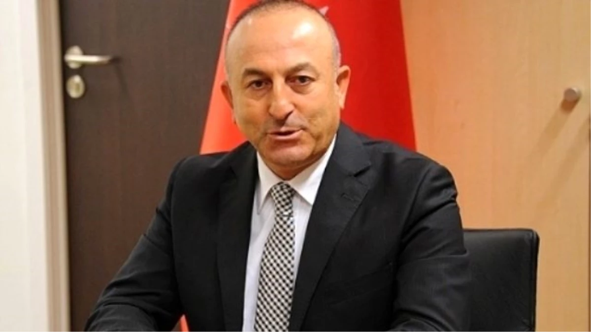 AB Bakanı ve Başmüzakereci Çavuşoğlu -