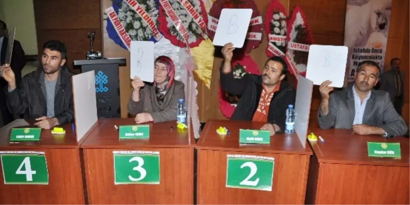 Aksaray'da Çobanlar Yarıştı