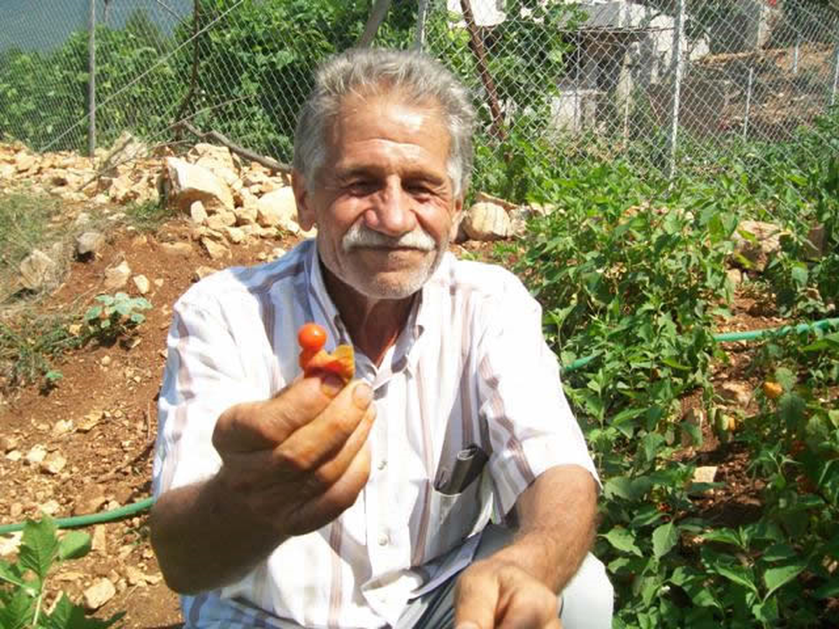 Altın Çilek Eski Günlerini Arıyor