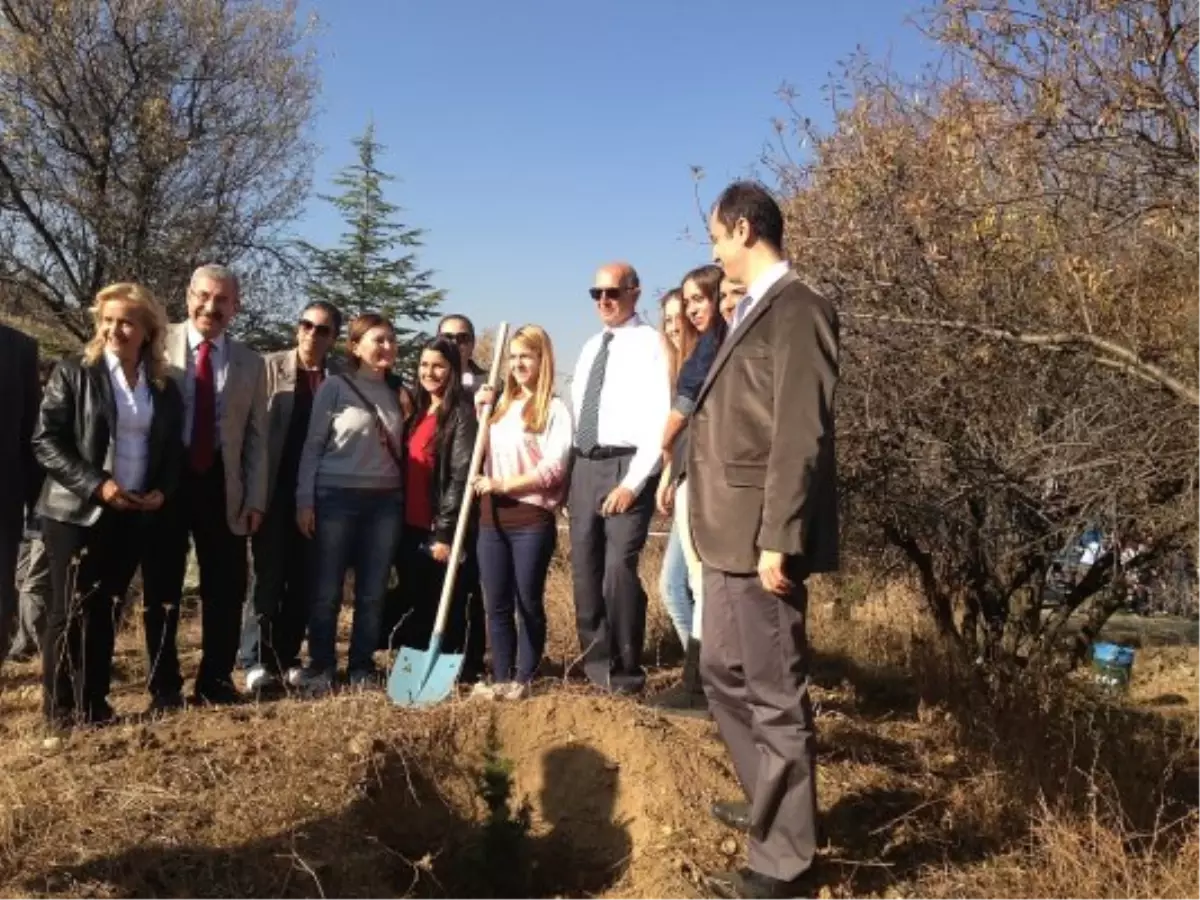 "Bir Ağaç Sizden, Bir Orman ODTÜ\'den"