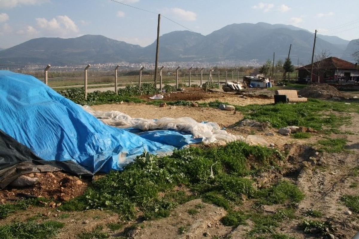 Çobanların Otlak Kavgası Kanlı Bitti: 1 Ölü