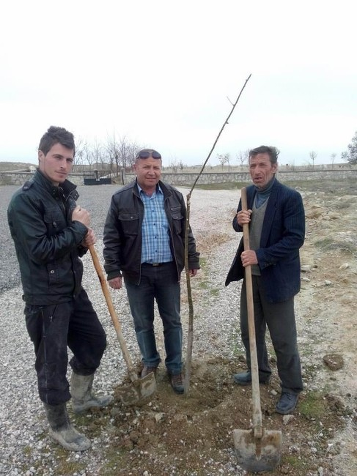 Kulu\'da 600 Fidan Toprakla Buluşuyor