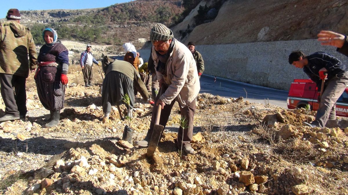Silifke\'den Yavru Vatana 30 Bin Fidan