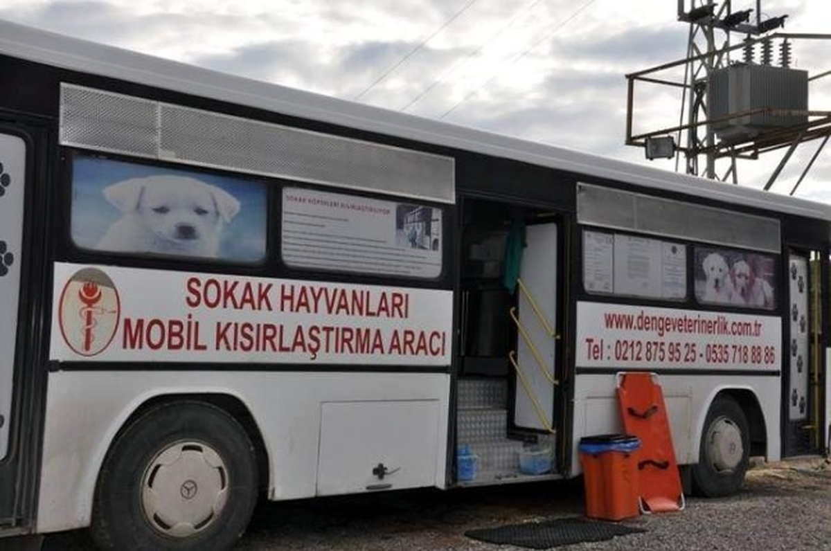 Belediye, Sokak Hayvanlarını Kısırlaştırıyor