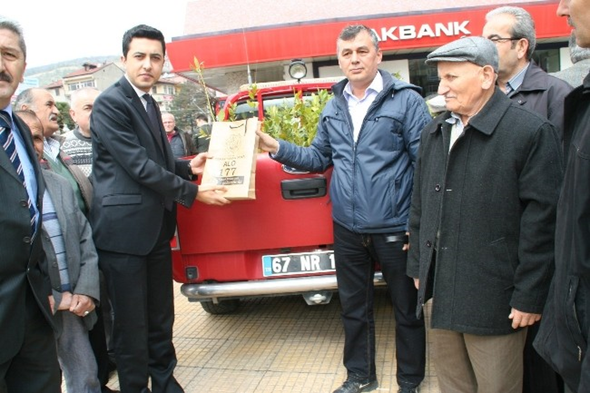 Devrek\'te, Vatandaşlara Fidan Dağıtımı Yapıldı