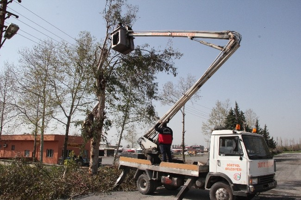 Dörtyol\'da Elektrik Tellerine Zarar Veren Ağaçlar Budanıyor