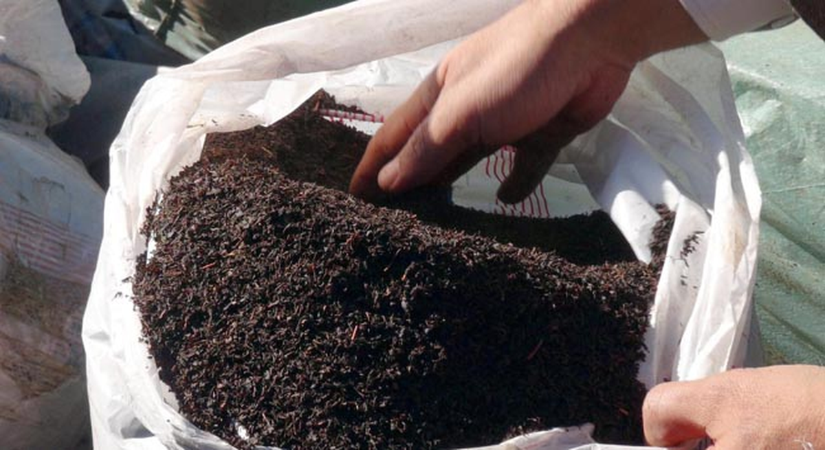 Kilis\'te Kaçakçılık Operasyonları: 9 Gözaltı