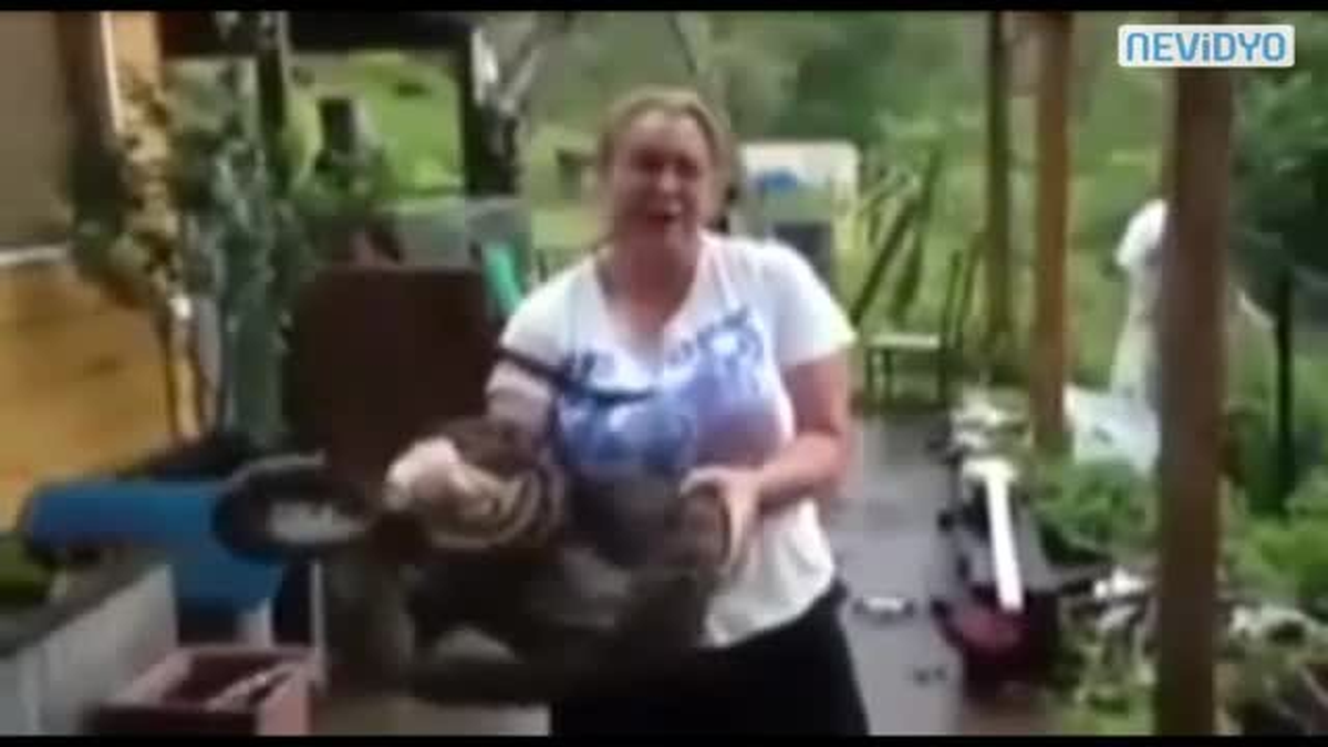 Piton, Evcil Hayvanı Yuttu