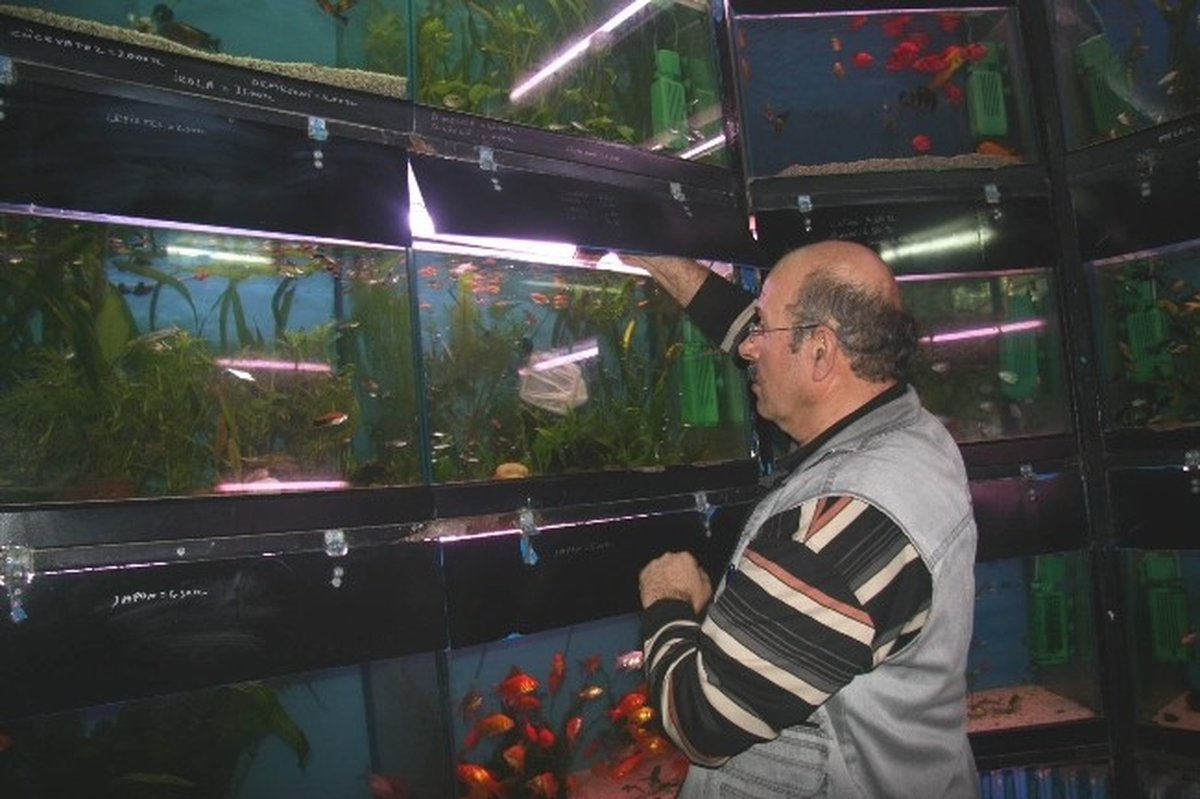 Sakarya\'da 20 Pet Shop Denetlendi