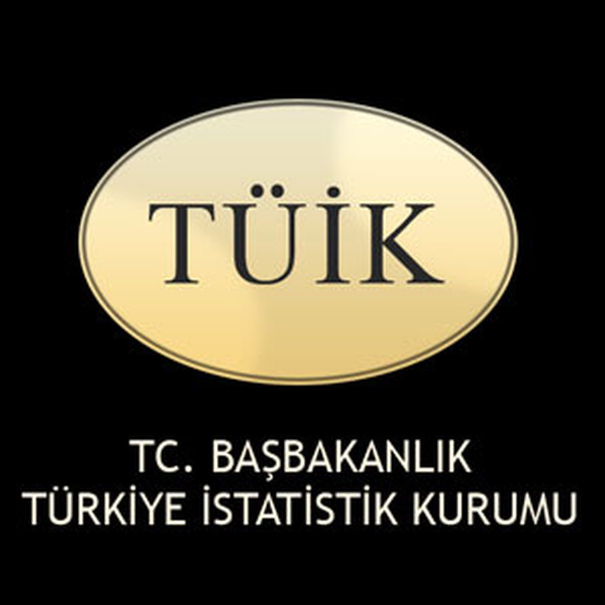 Kars\'ta TÜİK Bürosu\'nu Bastı, 6 Kişiyi Öldürüp İntihar Etti