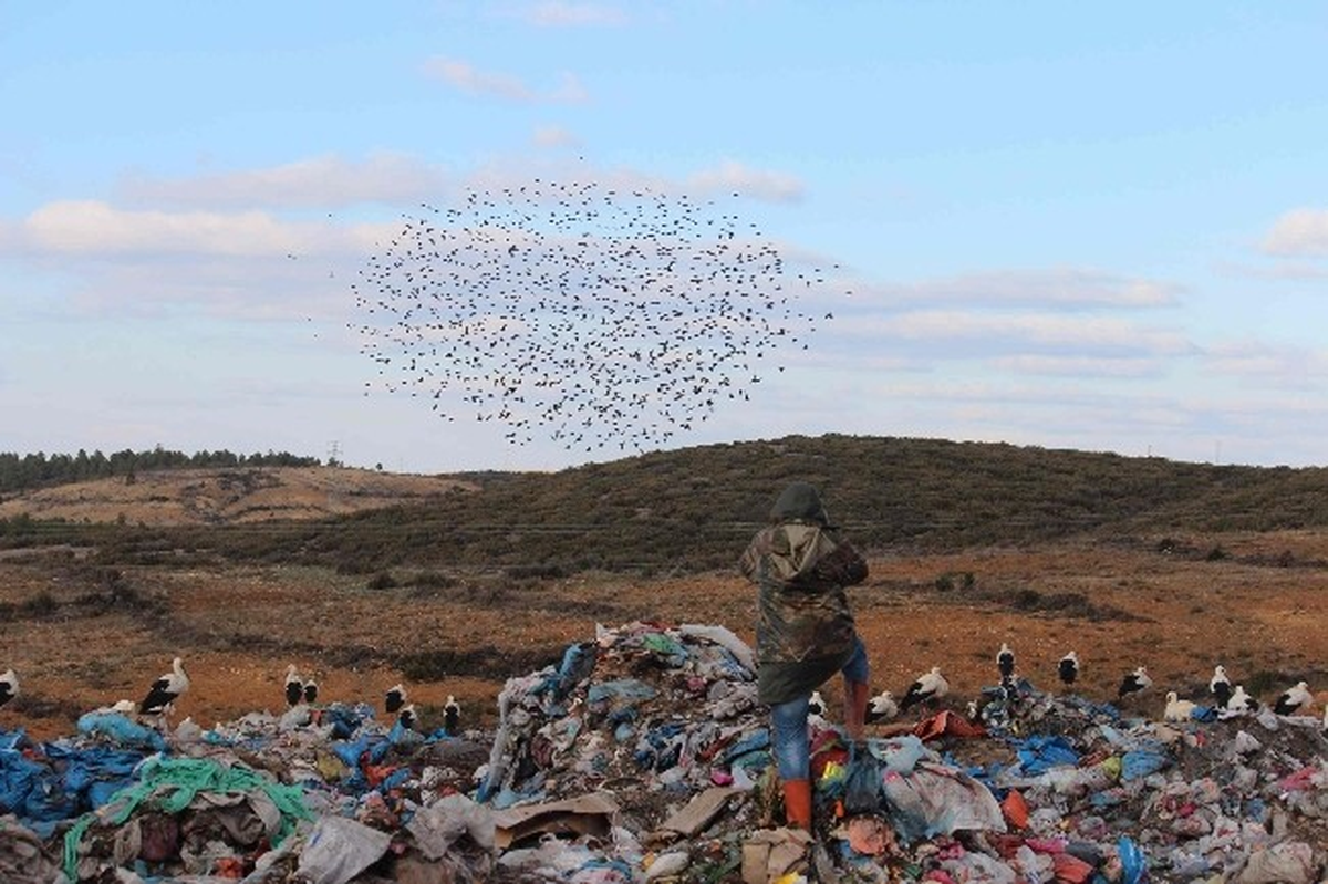 Çöplükte Fotoğraf Sanatı
