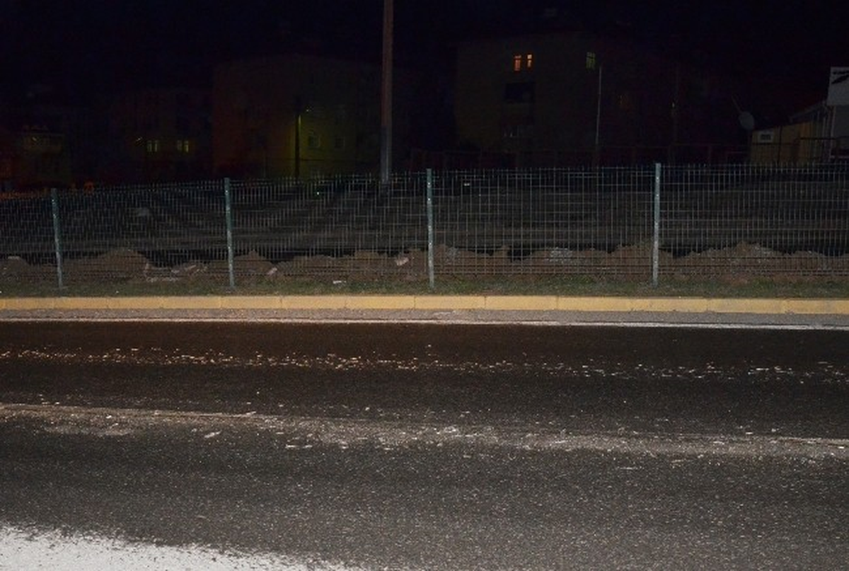 Yola Dökülen Hamsiler Sürücülere Zor Anlar Yaşattı