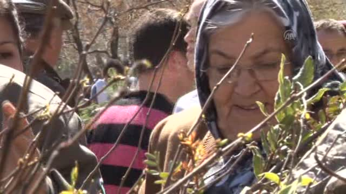 5 bin fidan 15 dakikada dağıtıldı -