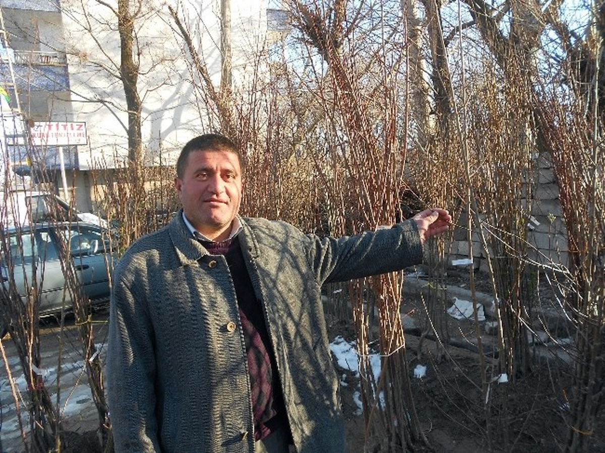 Adilcevaz\'da Fidan Satışları Başladı