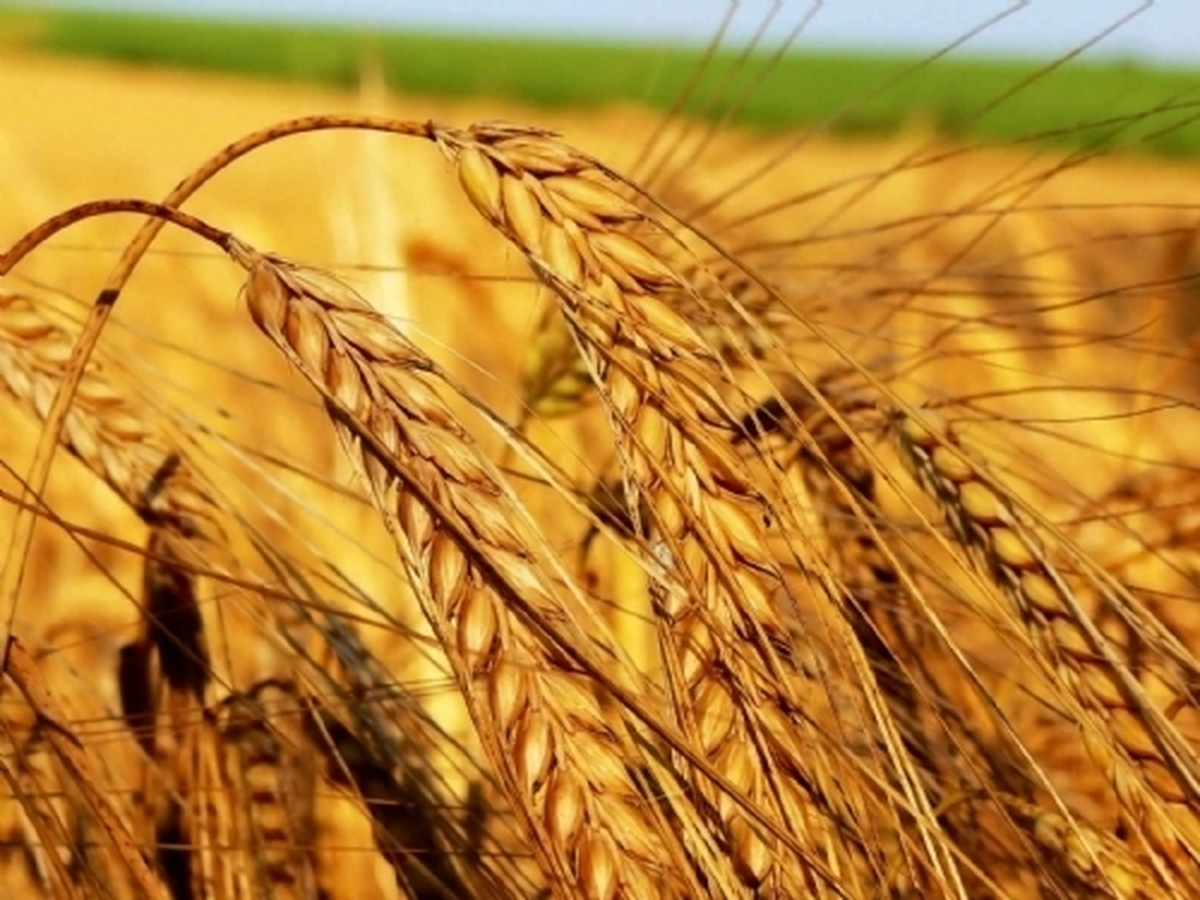 Edirne Ticaret Borsası