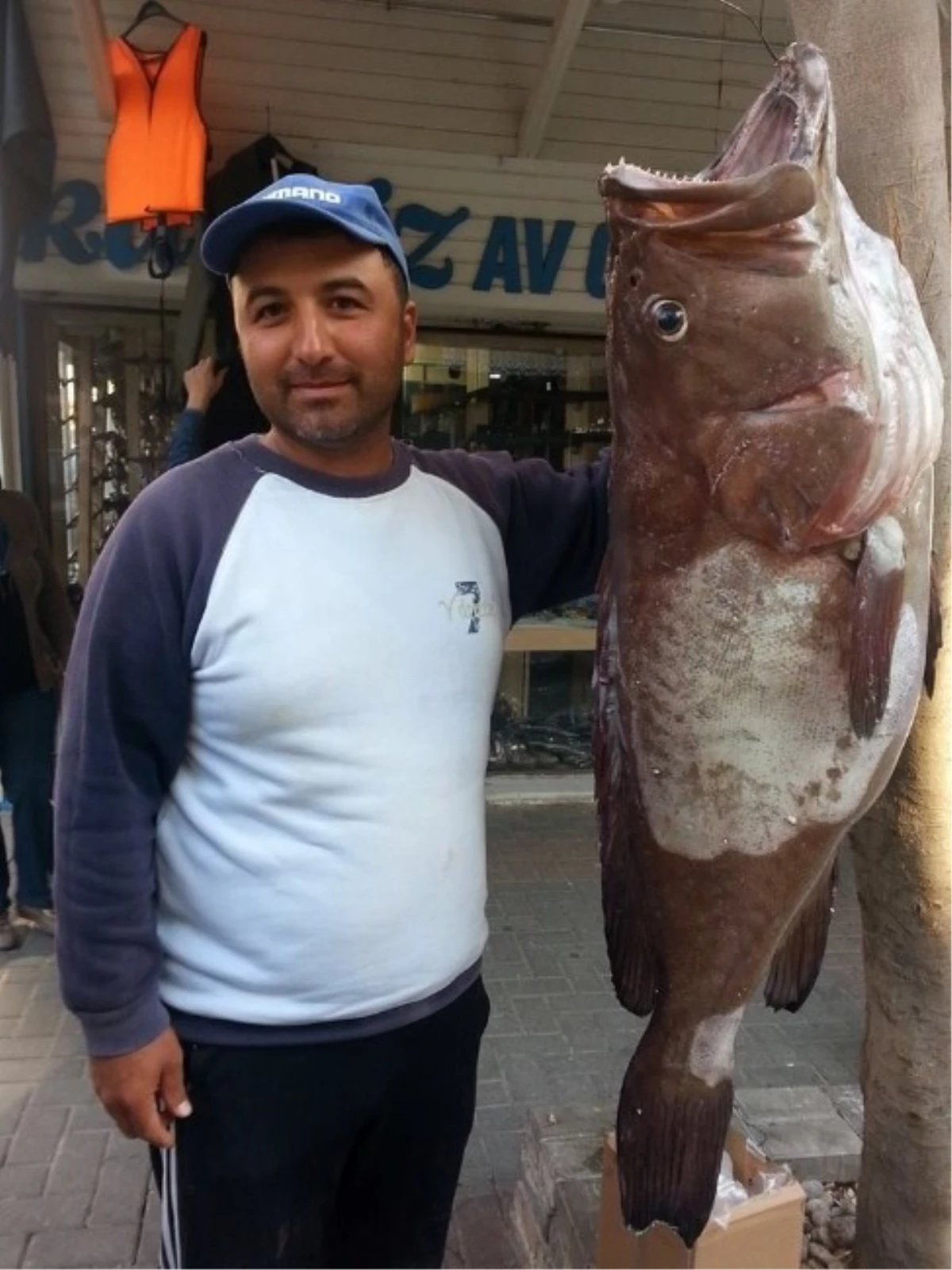 Balıkçıya 26 Kilogramlık Lagos Süprizi