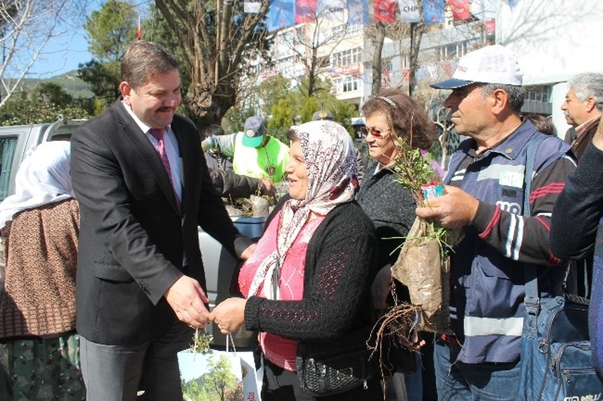 Muğla\'da 50 Bin Fidan Dağıtıldı