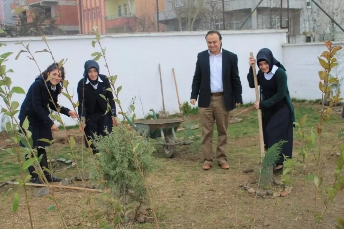 Vezirköprü İhl Doğa İçin Ses Verdi