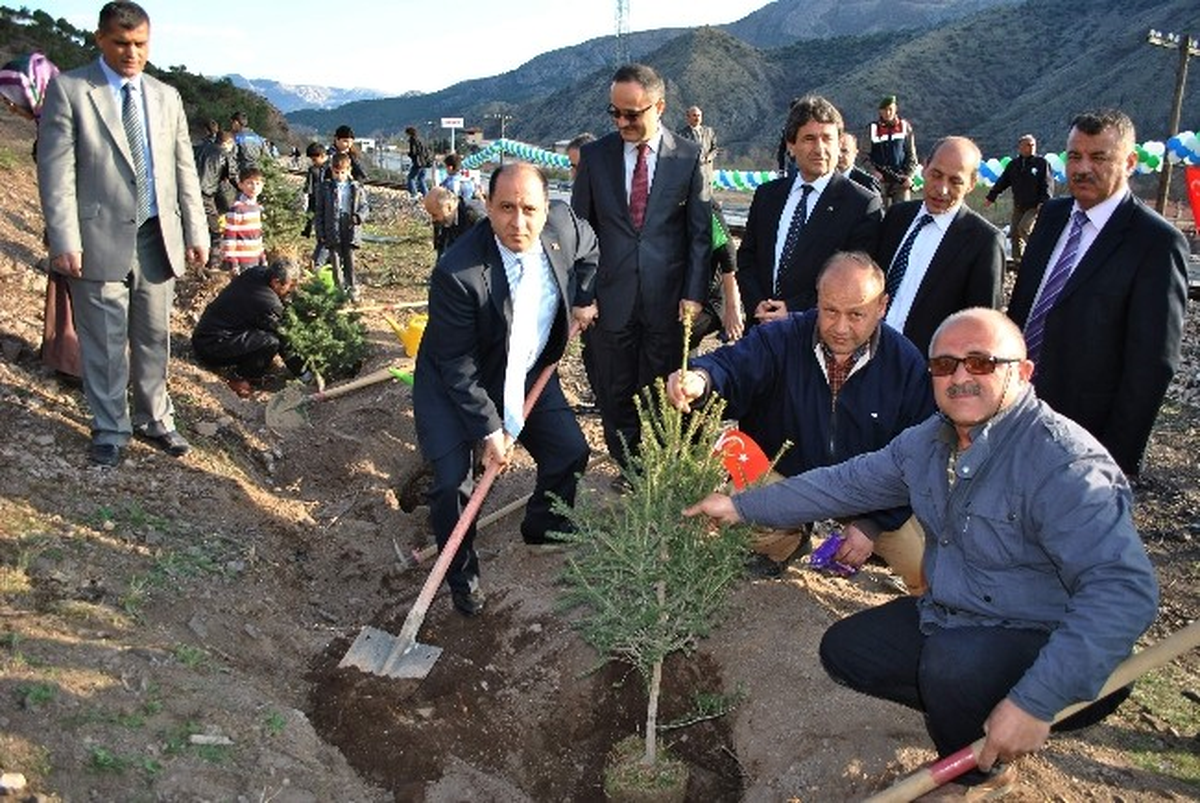Amasya\'da Yanan Ormanı 3 Bin Fidan Yeşertecek
