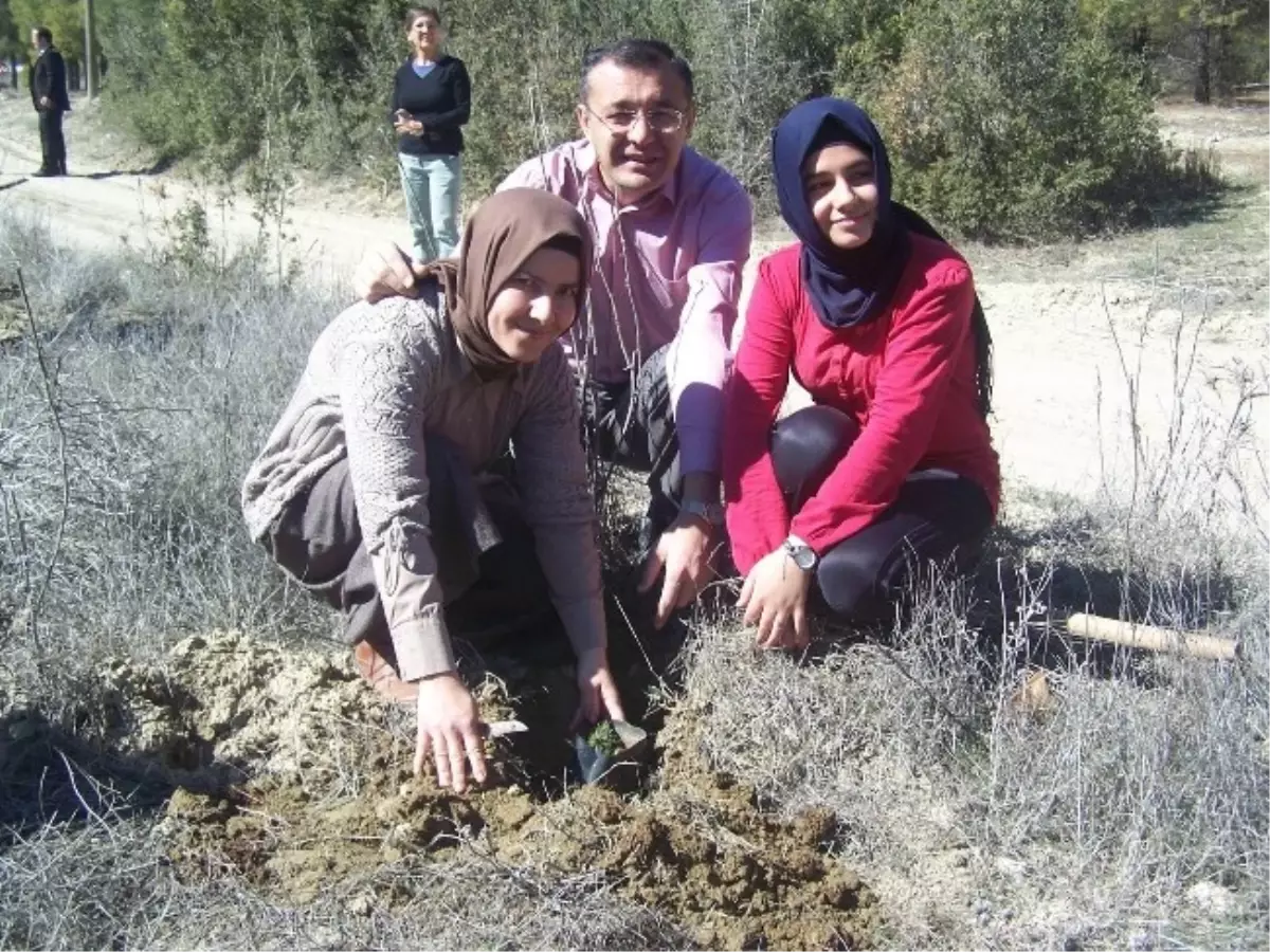 Hacı Ethem -Şerife Kavukçu Anadolu Lisesi\'nden Hatıra Ormanı