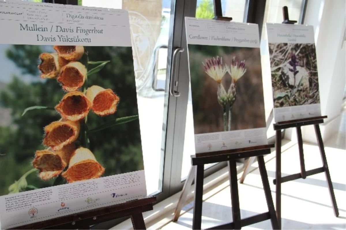 Memleketim Antalya Endemik Çiçekler ve Bitkiler" Uaü\'de Sergileniyor