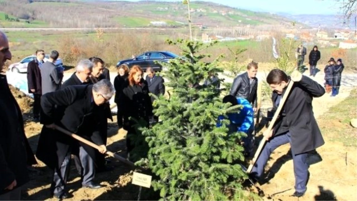 Cumhurbaşkanı Gül adına hatıra ormanı oluşturuldu -