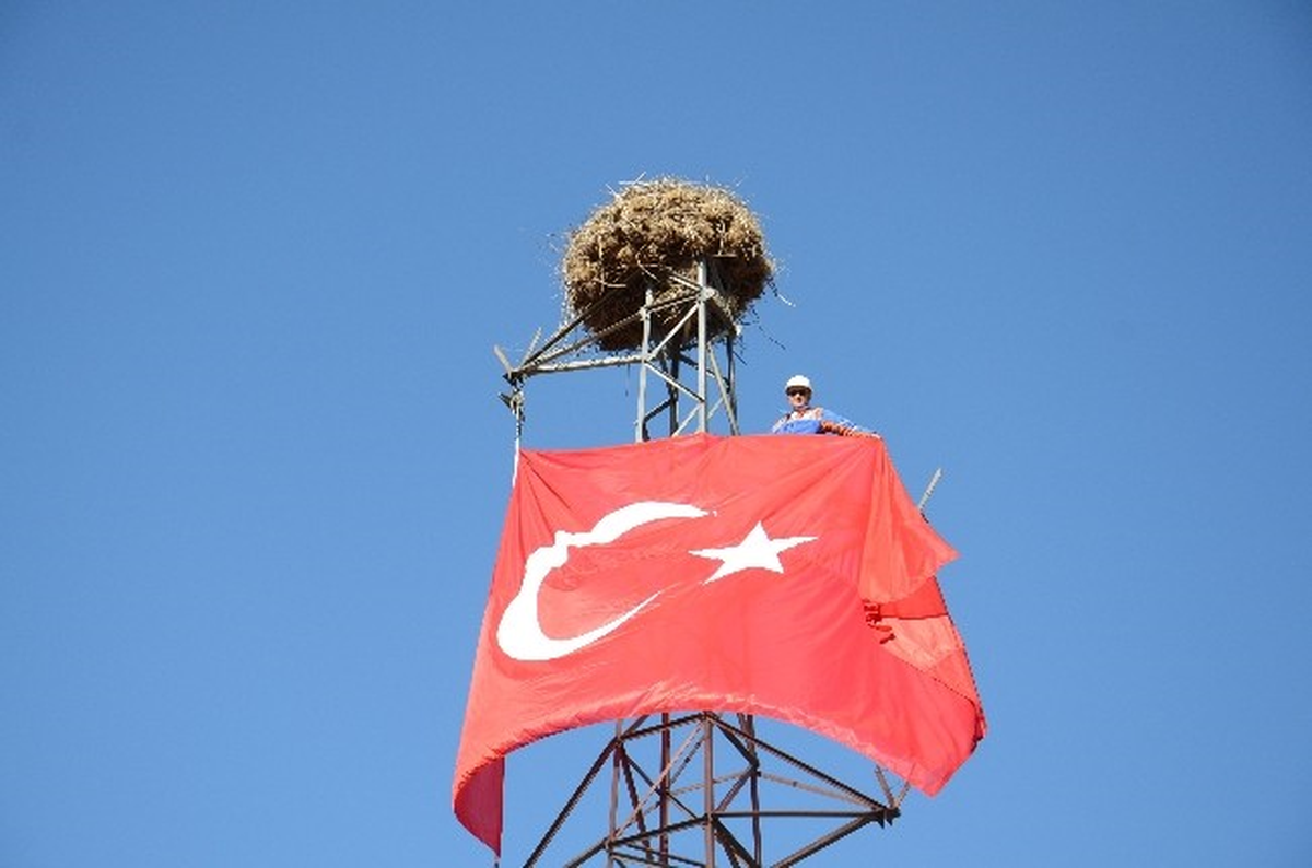 Boşta Kalan Yüksek Gerilim Direği Leylek Yuvası Yüzünden Sökülmedi