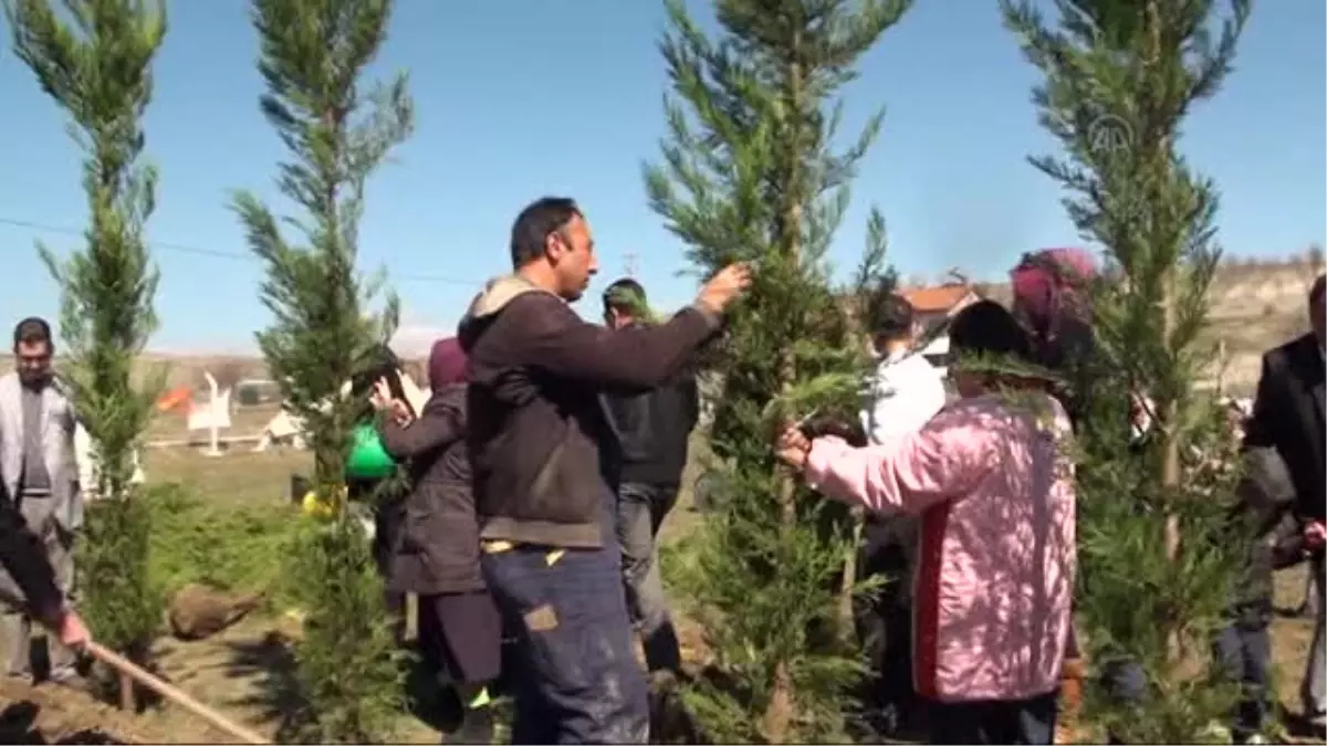 Down Sendromlu Çocuklar, Çubuk\'ta Fidan Dikti