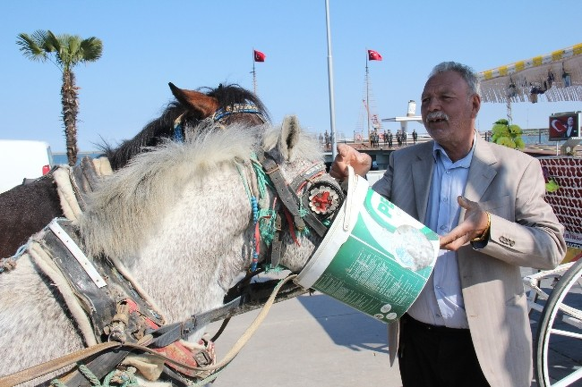 Samsun\'da Faytoncuların Tek Umudu Turistler