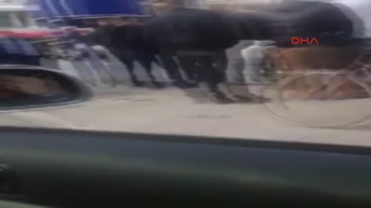 Kosova\'da Silahlı Saldırı: 2 Ölü, 6 Yaralı