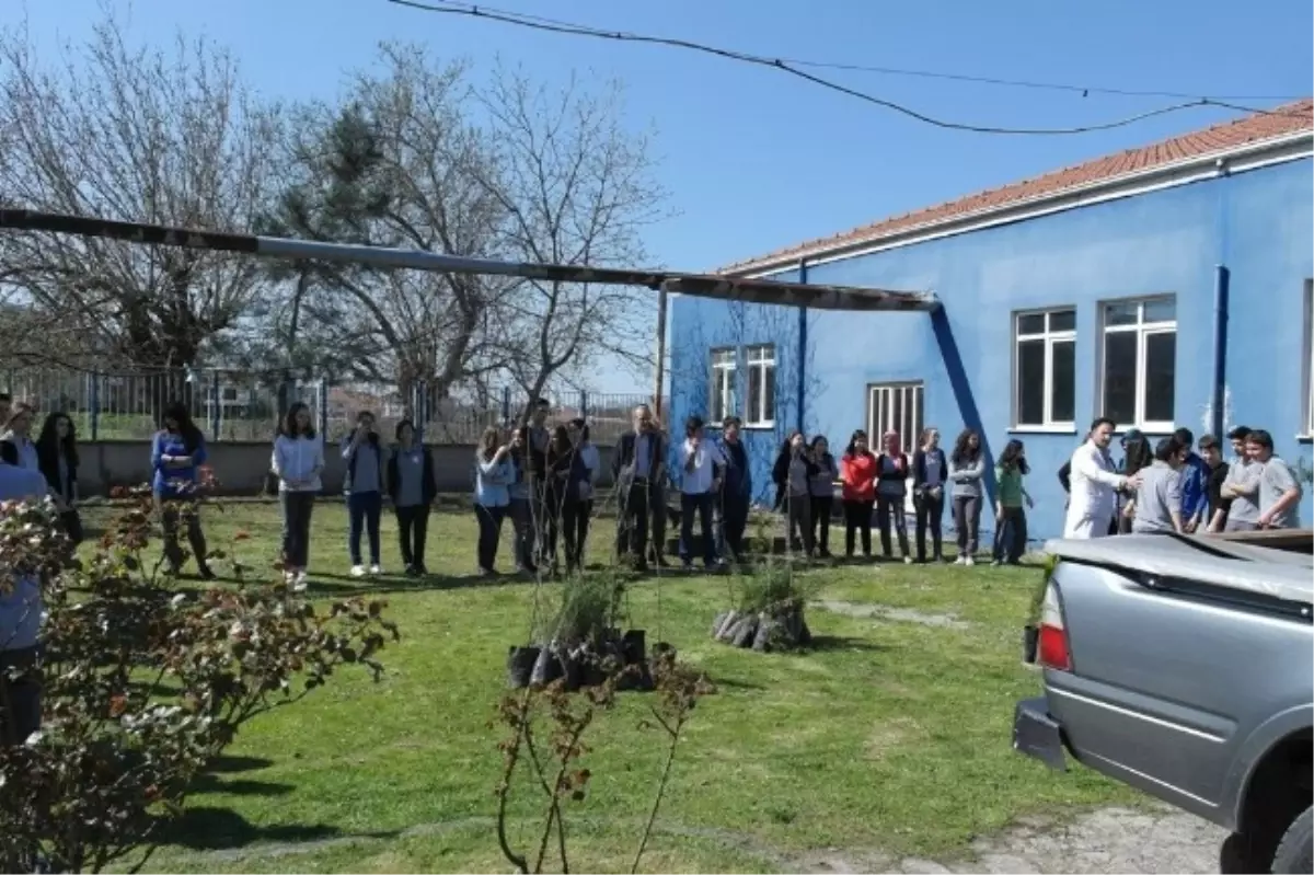 Sakarya Anadolu Lisesinde Orman Haftası Kutlandı